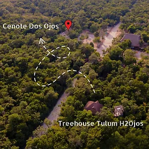 https://h2ojos-eco-cabins-surrounded-by-nature-and-cenotes-in.allrivieramayahotels.com